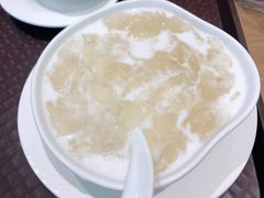椰汁银耳羹-芝九草堂(HAPPY站台店)