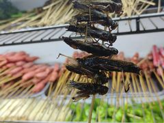 -张杨烤菜(渭南总店)
