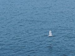 -海堤纪念公园