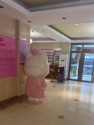 -北京俪婴妇产医院(朝阳大悦城店)