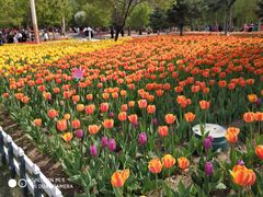 -长春公园(普阳街道)