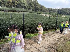 -杭州龙井幼儿园