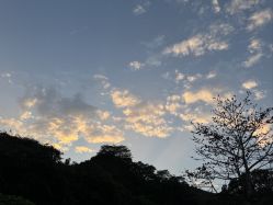 -爱帝宫月子中心(罗湖别墅院)
