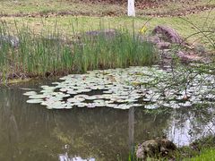 -幸福湖国际会议中心