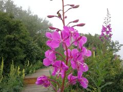 -白草畔自然风景区