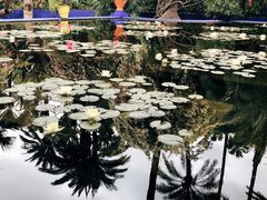 -马洛雷勒花园