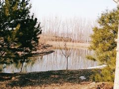 -东郊湿地公园