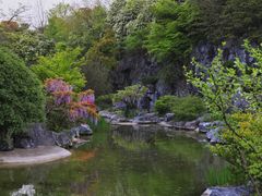 -上海吴淞炮台湾国家湿地公园