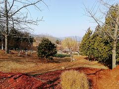 -北京西山国家森林公园