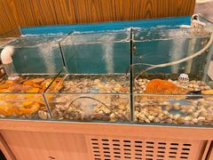 水产区-星璨·自助餐厅-厦门禹洲温德姆至尊豪廷大酒店