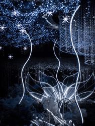 -静安洲际酒店·宴会厅