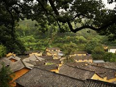 -杨家堂村