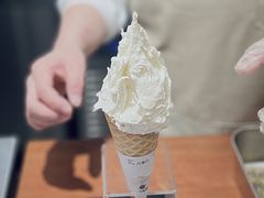 五常大米-野人先生Gelato(上海长宁龙之梦店)