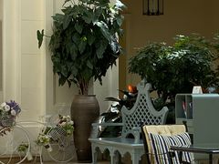 -利顺德大饭店·维多利亚花园(小白楼店)