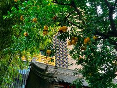 -罔极寺