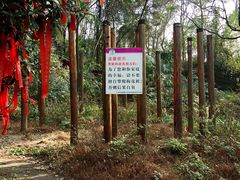 -窦圌山风景区