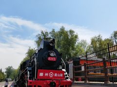 -微山湖红荷湿地景区