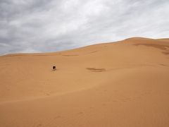 -亿利库布其七星湖沙漠生态旅游区