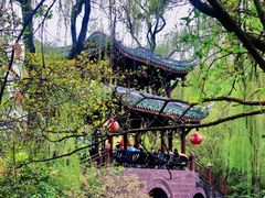 -棠湖公园