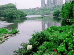 -重庆彩云湖湿地公园