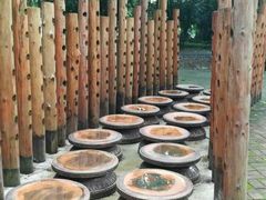 -南宁良凤江国家森林公园