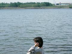 -丁香湖公园