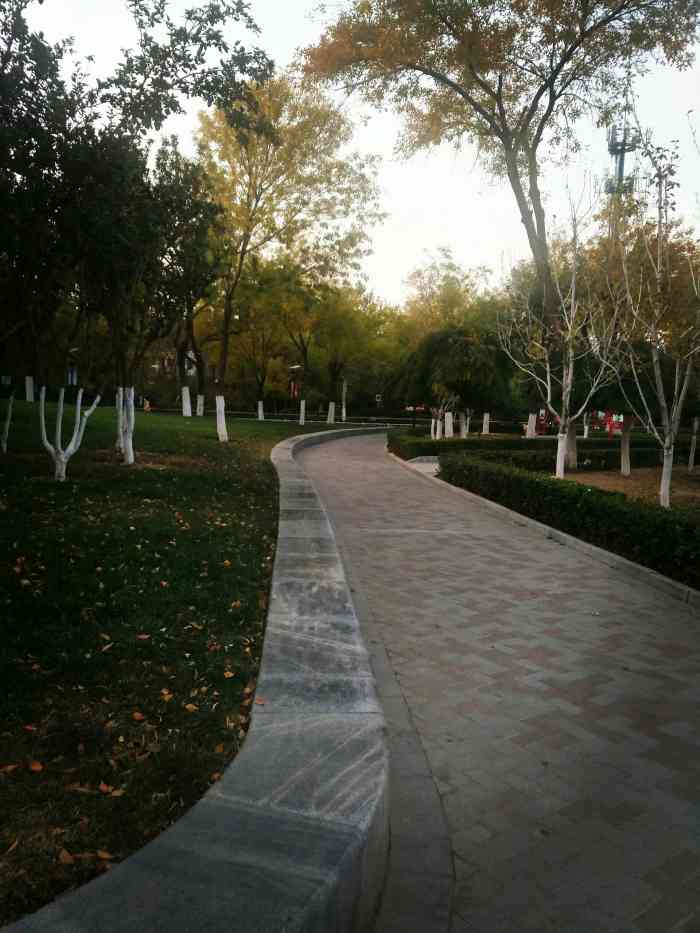 南开公园-"南开区有名的老公园了,小的时候和父母去过.