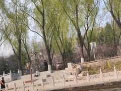 -皇家御河游(紫御湾码头)
