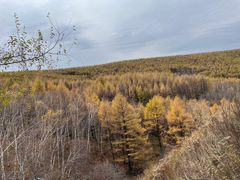 -塞罕坝国家级自然保护区