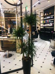 -HAIR CORNER