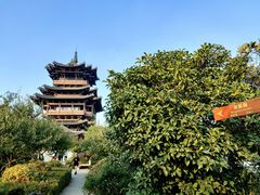 -杭州半山国家森林公园