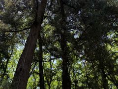 -武侯墓风景区