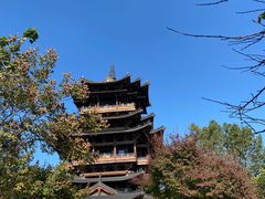 -杭州半山国家森林公园