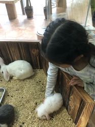 -未来动物城主题公园(正弘城店)