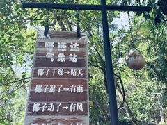 -呀诺达热带雨林