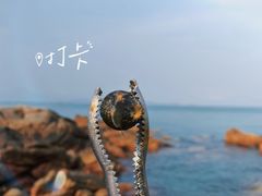 -巽寮湾