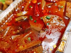 -京城·森鸽排档(双井店)