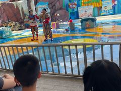-海合安成都极地海洋公园
