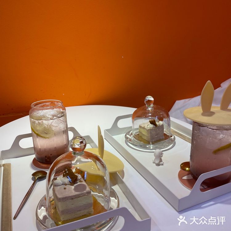 成都探店｜首家·安哥拉巨兔体验馆 超萌