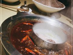 -田鸭肠·非遗火锅(彭州店)
