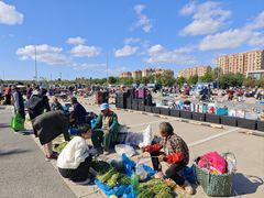 -雪绒花路停车场