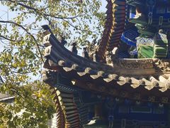 -罔极寺