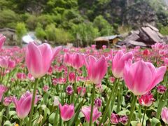 -河南宝泉旅游区