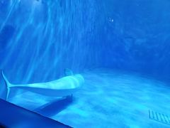 -多彩贵州城极地海洋世界