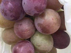 -马陆小张葡萄园农家乐