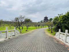 -上海海湾国家森林公园