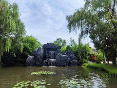 -溱湖国家湿地公园