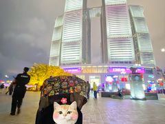 -喜庭海鲜自助(来福士店)