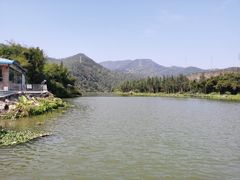 -将军陂美食山庄·瓦缸炭烧鸡