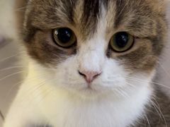 -平行世界·猫咖(首经贸店)